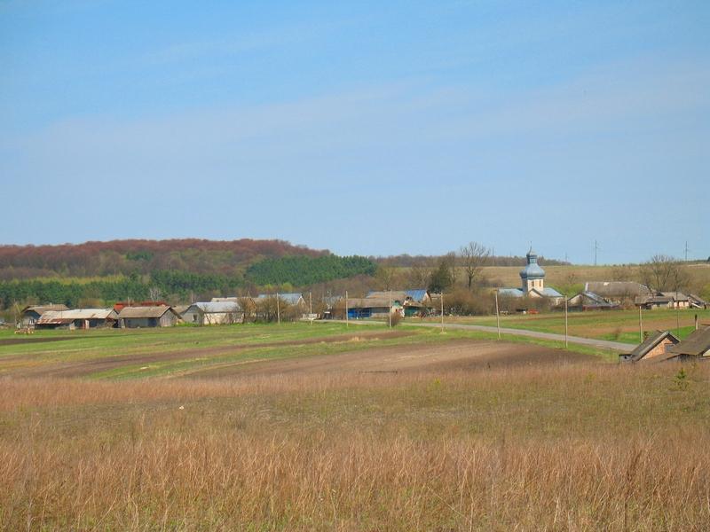 МОЄ СЕЛО - Вертелка