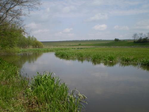 Krasnostavtsi - Красноставці