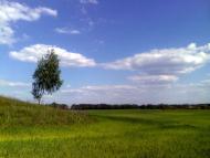 околиці села