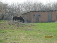 Подорож на  Сумщину