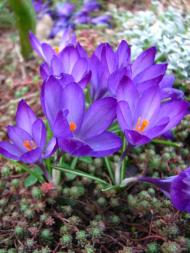 Гостиница 'Сокильское'