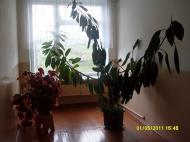 Корчівецька ЗОШ I-IIIст.