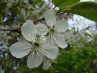 Фото села, в якому вже ніхто не живе...