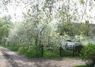 родительский дом