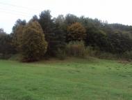 Родное село