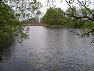 Моє рідне село