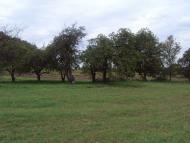 Родное село