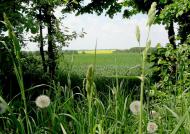 Окрестности