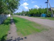 Пишненки - Останні фото