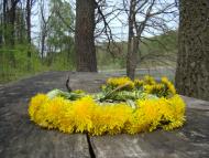 Фото села, в якому вже ніхто не живе...