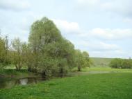 Фото села, в якому вже ніхто не живе...