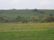 Мала Озимина