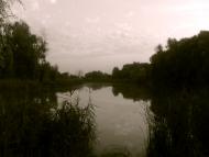 Сухоберезиця (річка)