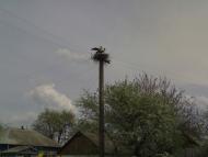 Моє рідне село