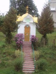 Родное село