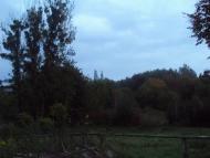 Родное село