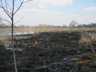 Подорож на  Сумщину