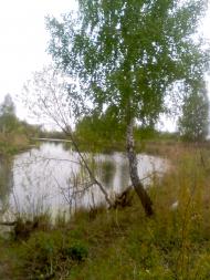 Сухоберезиця (річка)