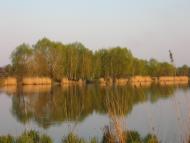 Сухоберезиця (річка)