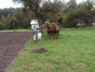 Родное село