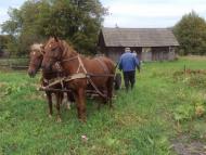 Родное село