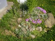 Валякузьминський НВК 'Веселка'