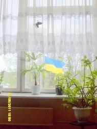 Корчівецька ЗОШ I-IIIст.