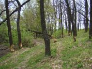 Фото села, в якому вже ніхто не живе...