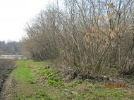 Подорож на  Сумщину