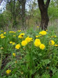 Фото села, в якому вже ніхто не живе...