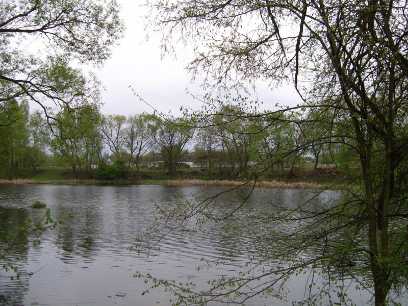 Моє рідне село - Немыльня