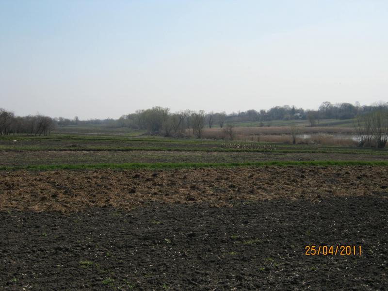 Подорож на  Сумщину - Сакуниха