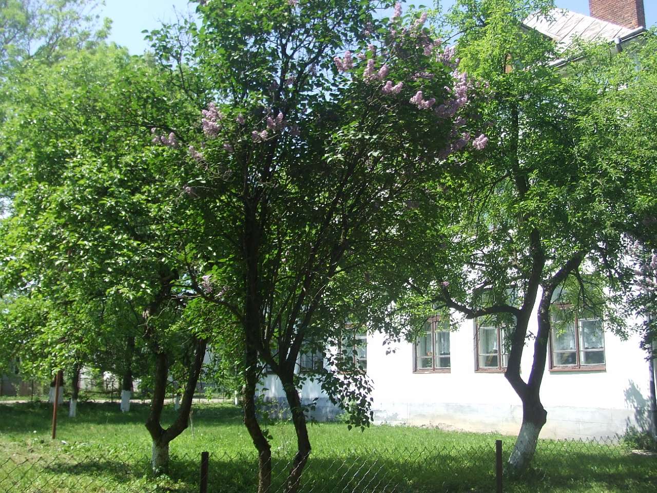 школа - Тейсаров