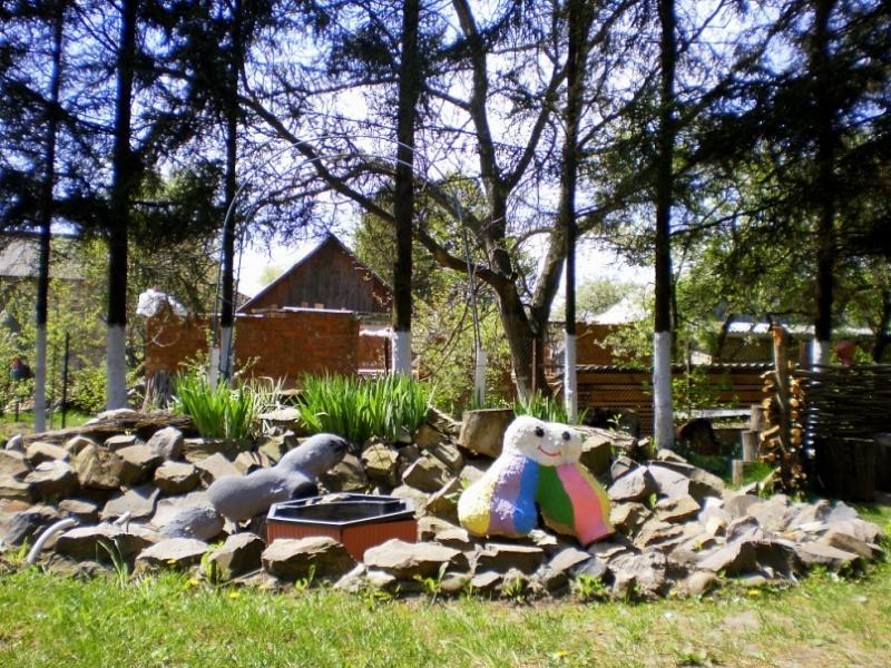 Тарашанська ЗОШ I-IIIст. - Тарашани