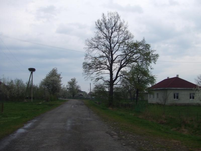 Краєвид - Нижня Лукавиця