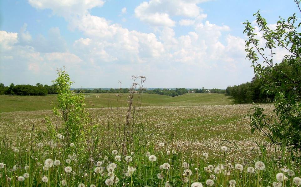 Окрестности - Залужне