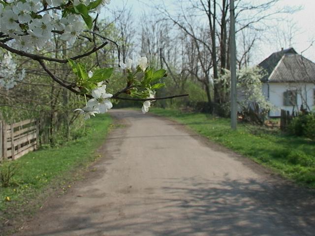 вулиці села - Вершина-Згарська