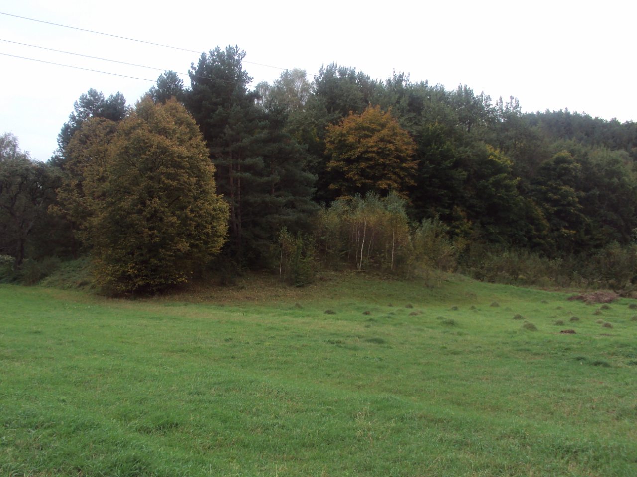 Родное село - Stizhok