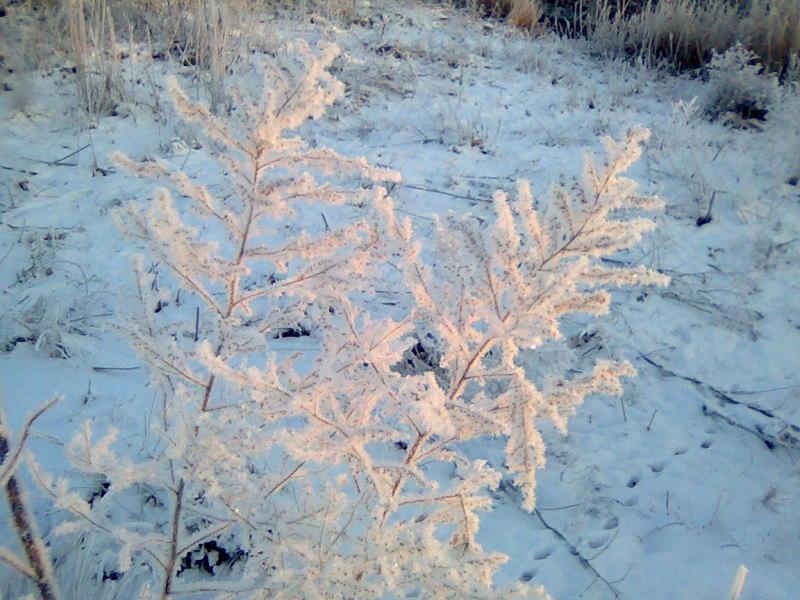 різне - Новоселівка