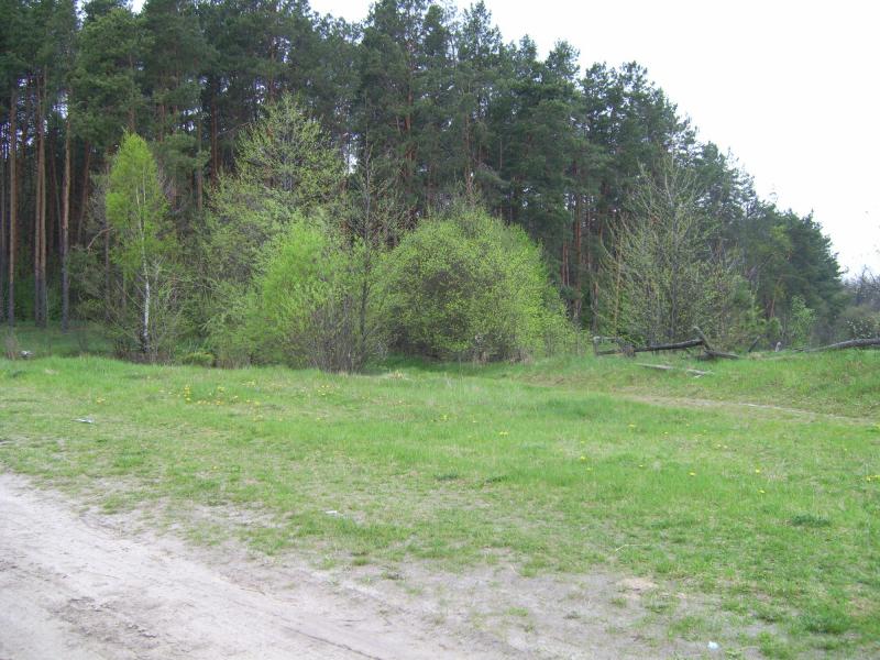 Моє рідне село - Немильня