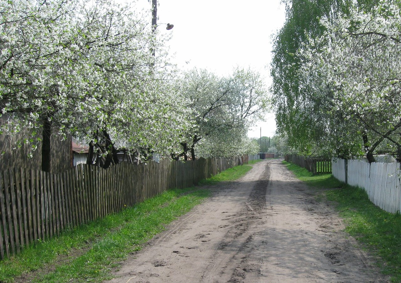 родительский дом - Згораны