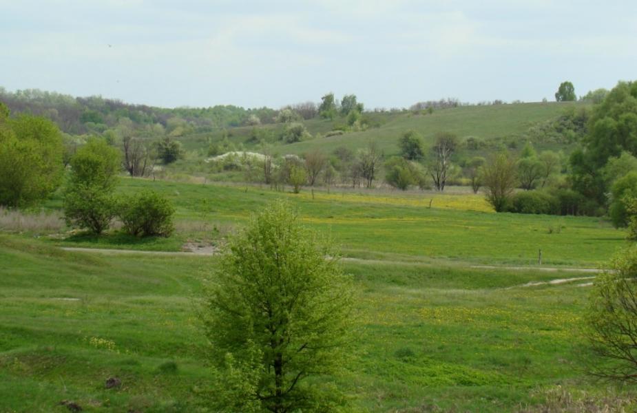 Фото села, в якому вже ніхто не живе... - Богданівка
