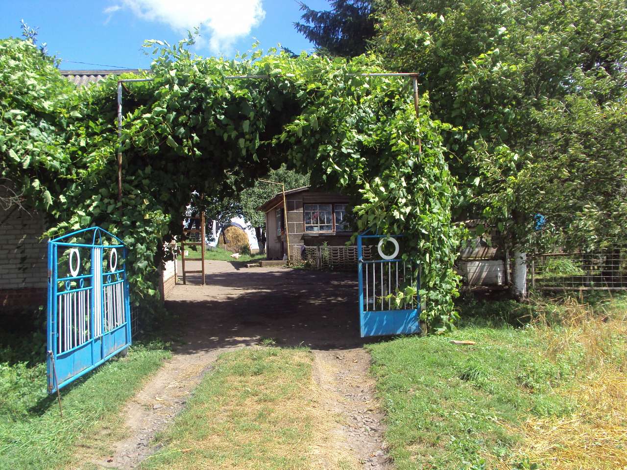 Михлин - Михлин