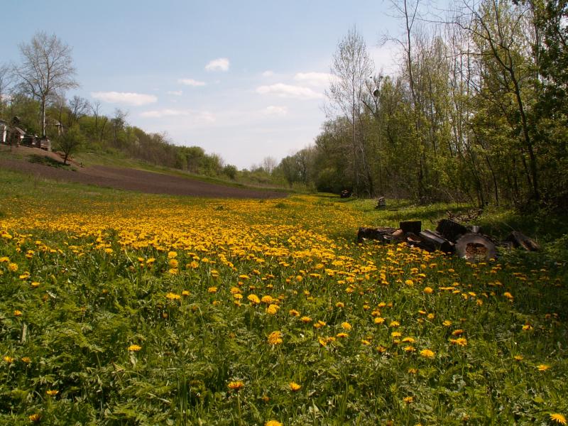 Лузанівські краєвиди - Лузановка