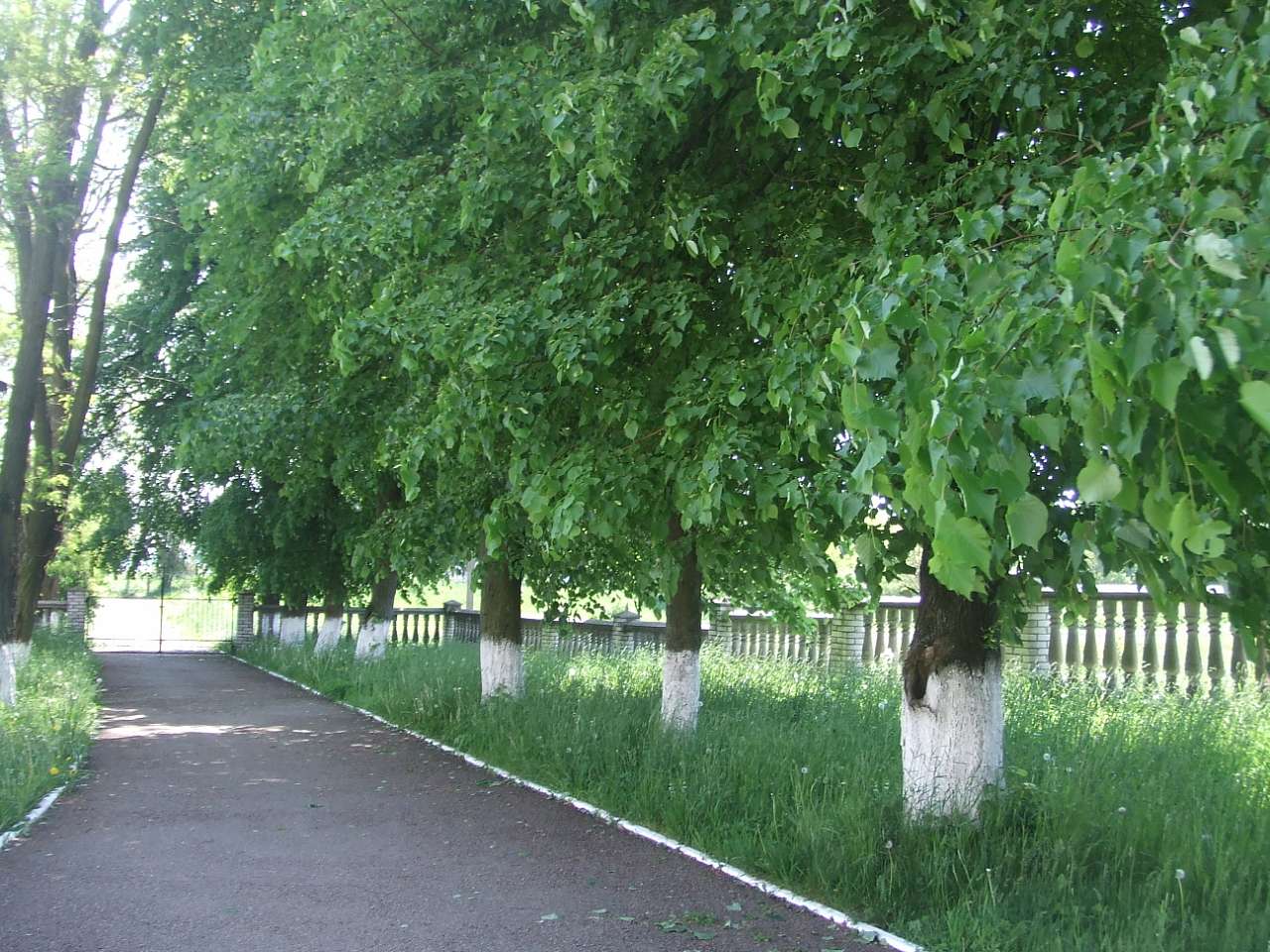 храм святого Володимира Великого - Тейсарів