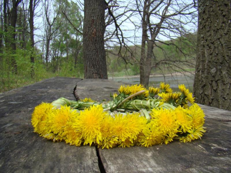 Фото села, в якому вже ніхто не живе... - Богданівка