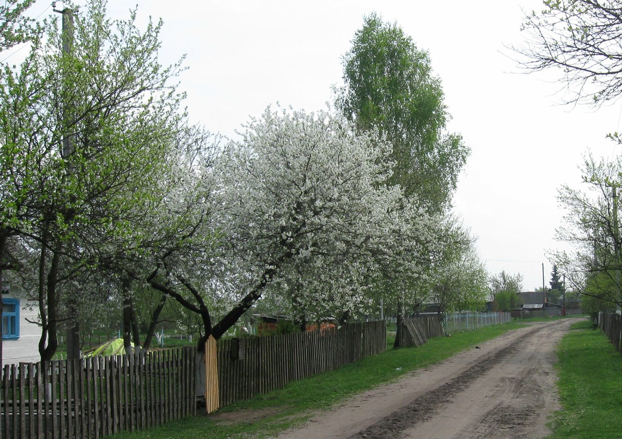 родительский дом - Згораны