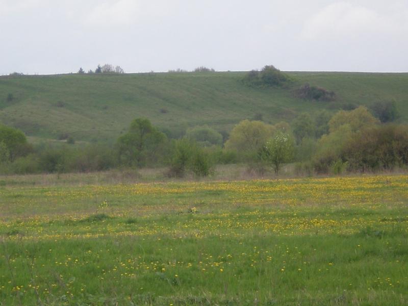 Мала Озимина - Мала Озимина