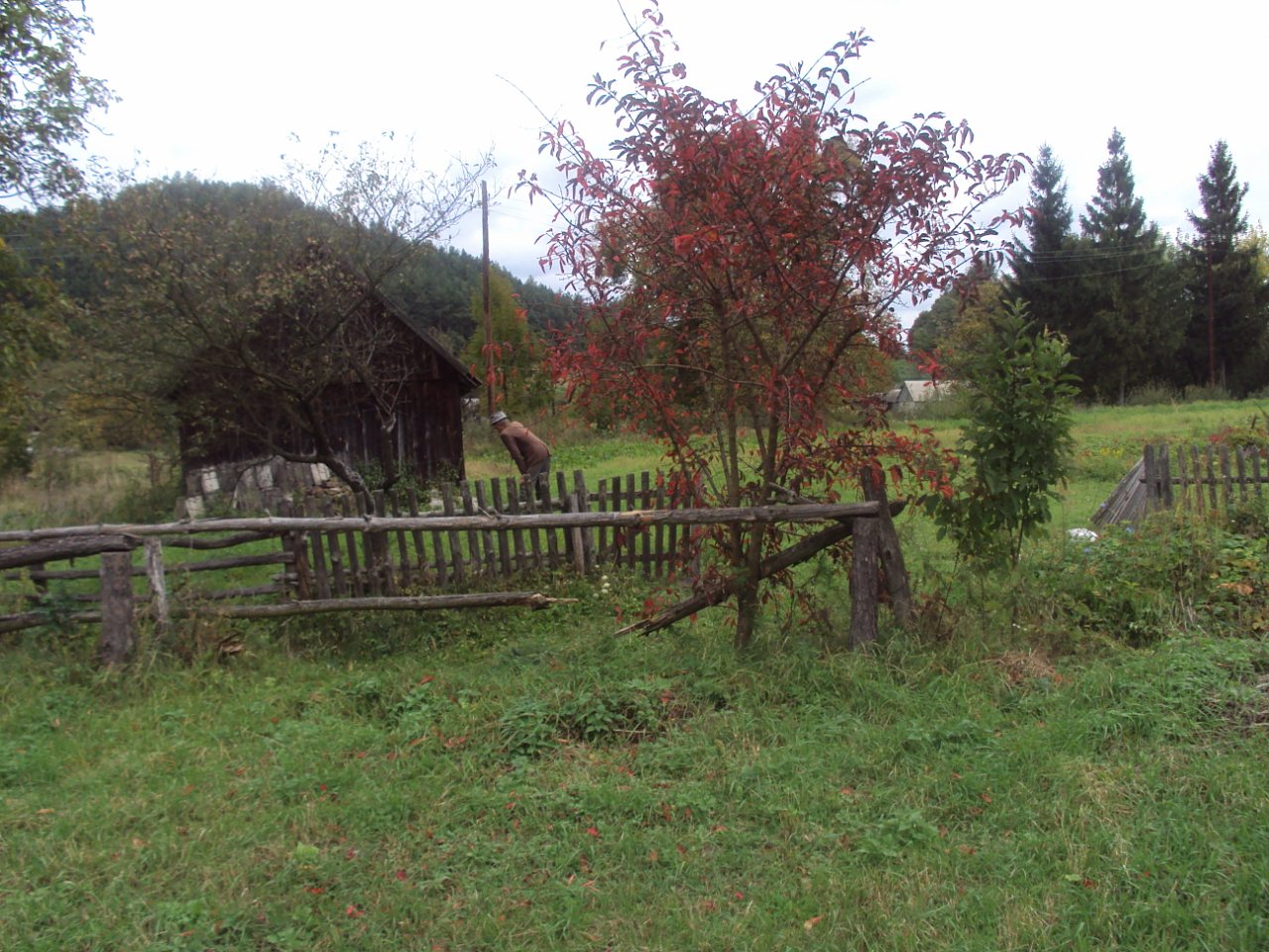 Родное село - Стіжок