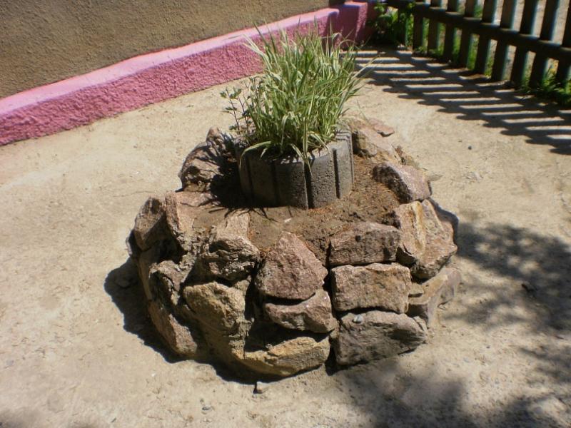 Тарашанська ЗОШ I-IIIст. - Тарашаны